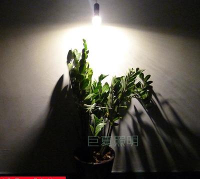 【批发led植物补光生长灯花草蔬果灯具防水12w灯泡透明罩球泡】价格_厂家_图片 -