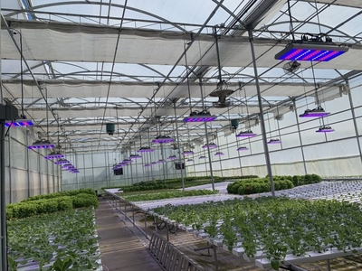 《温室植物补光灯质量评价技术规范》确立行业准入门槛