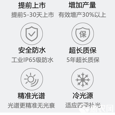 植物补光灯 厂家直销红皎阳植物生长灯阴雨天室内育苗蔬菜种植