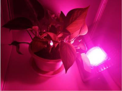 超薄免驱动植物生长灯帮助植物和所有植被类型的生长