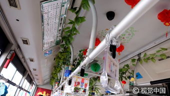 长沙现 花草公交 市民乘车如同走进春天里