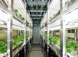 全球各式植物工厂图文大赏
