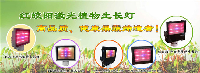 大棚植物灯-达州植物灯-星丰科技生长灯