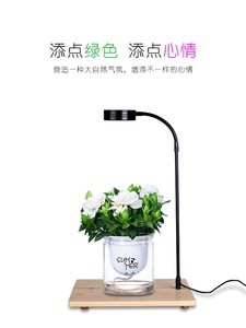 【多肉植物生长灯台灯图片】近期17组多肉植物生长灯台灯