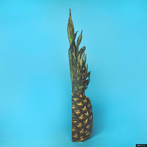植物 菠萝 水果 食品 竹笋 蔬菜 美食摄影图片图片壁纸 美食摄影图片图片壁纸