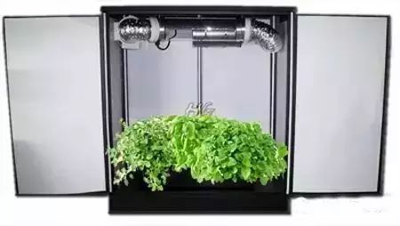 植物工厂是未来农业技术变革的技术之一
