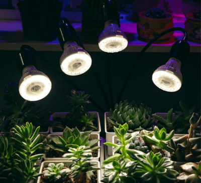 解决室内种植最大弊端的是方法-植物生长灯