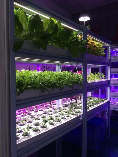 植物照明系列- 科海国际照明系列灯具