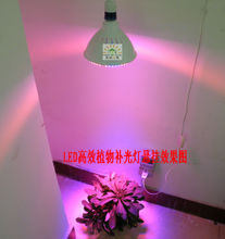 【花卉补光灯】最新最全花卉补光灯 产品参考信息