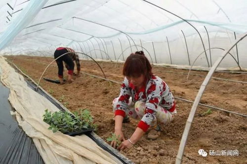 2017年快过去,报纸上刊登的这些文字和图片记录着砀山这一年来的发展变化,超燃 超有料