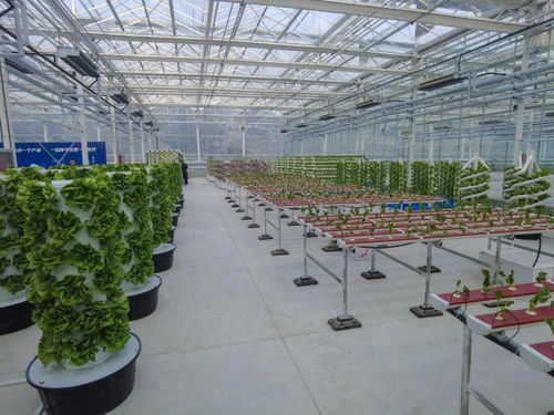 济南植物基因编辑公共技术平台正式启用