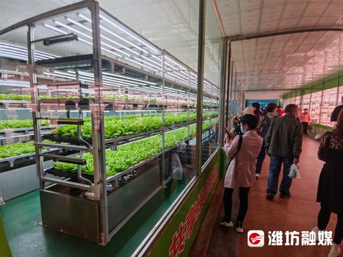 菜博会见闻 推开神秘小门, 沉浸式 观察奇珍异果