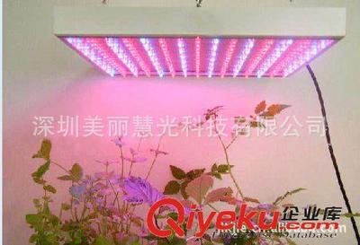 LED植物生长灯14W led植物补光灯 LED植物补光灯 led植物灯图片|LED植物生长灯14W led植物补光灯 LED植物补光灯 led植物灯产品图片由深圳美丽慧光科技公司生产提供-