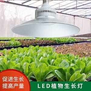 【植物生长补光灯价格】最新植物生长补光灯