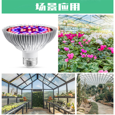 100w植物灯植物生长灯植物补光灯