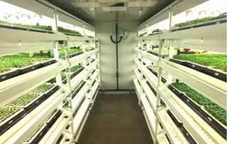 植物工厂 签约落户捞刀河畔田园综合体,北盛招商引资实现新年 开门红