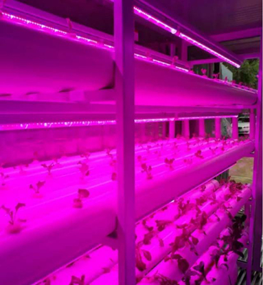 厉害了!移动式植物工厂登上“雪龙”号科考船