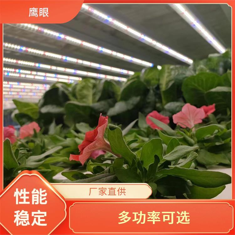 全光谱led植物灯工厂生产出口北美工业大麻种植生长灯 - 爱企查