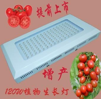 广东深圳WXL光电生产供应led120W方形植物灯,植物生长灯,植物补光灯