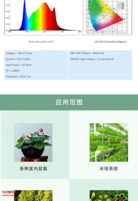承越植物工厂种植灯生产厂家led植物生长灯厂家药材种植补光灯