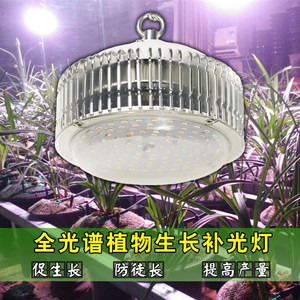 画山千植物生长补光灯室内兰花绿植水培花卉全光谱LED多肉补光灯
