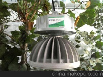 低价大量供应植物灯,植物生长专用LED植物生长灯图片,低价大量供应植物灯,植物生长专用LED植物生长灯图片大全,国光绿能(北京)光照技术-2-
