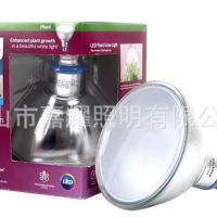 植物生产灯：投影机灯泡厂家的创新之路