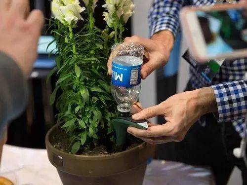 44个实用养花小技巧 掌握植物生产灯的使用窍门