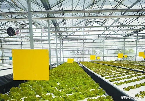 植物工厂 全球爆发趋势与中国发展机遇