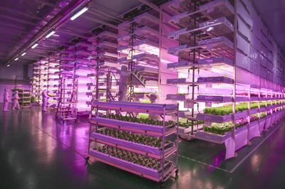 用一流设备，打造一流产品——植物生产灯客户案例解析