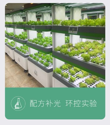 石家庄植物生长灯 助力现代化植物生产的光照利器