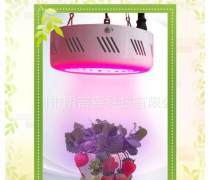 植物生产灯 现代农业的光明未来