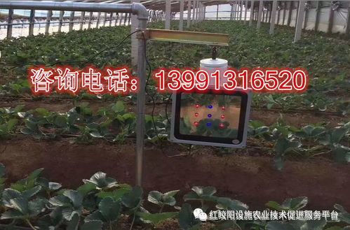 低温寡照来袭,激光植物补光灯助您保温补光保生产
