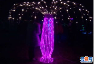 植物生产灯在现代农业中的应用与前景